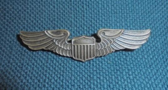 USAAF Pilots wing 2