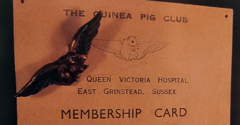 RARE! 'Guinea pig club wings'